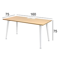 辦公桌 (160x75cm)