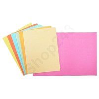 紙質文件夾(一級 A4/10個裝)