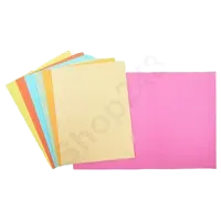 紙質文件夾(一級 A4/10個裝)